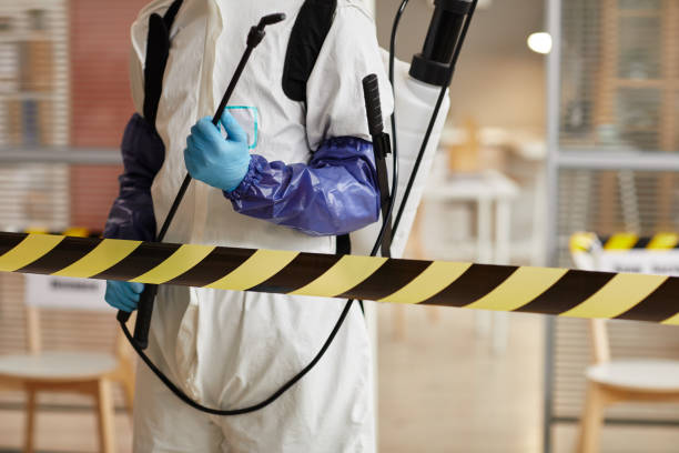 Professional Sewage Cleanup technician working in Port Costa, CA